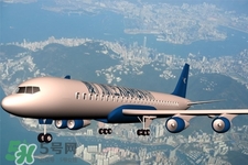 飛機上能帶液體中藥嗎？坐飛機可以帶袋裝中藥嗎？
