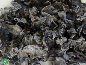 干木耳泡多久可以吃？干木耳泡了兩天還能吃嗎？