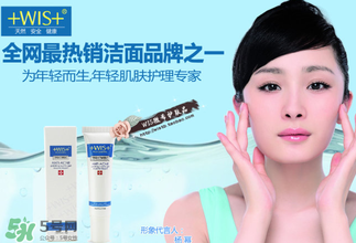 wis是哪個(gè)國(guó)家的品牌？wis是什么牌子？