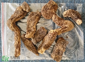 野生肉蓯蓉多少錢一斤？肉蓯蓉價格一斤多少錢？