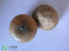 風(fēng)流果多少錢一斤？風(fēng)流果的價(jià)格