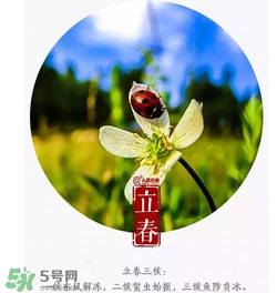 立春可以出門嗎？立春為什么不能出門？