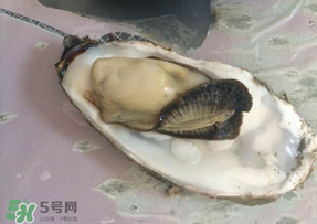 生蠔多少錢一斤？生蠔一斤有幾個(gè)？