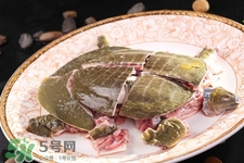 有乙肝可以吃甲魚嗎？乙肝患者禁吃甲魚