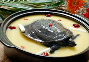 有乙肝可以吃甲魚(yú)嗎？乙肝患者禁吃甲魚(yú)