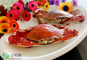 臘月吃什么蟹？臘月吃公蟹還是母蟹？