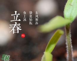 立春吃什么蔬菜？立春時令蔬菜推薦