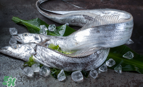 帶魚多少錢一斤？帶魚多少錢一箱？