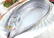 帶魚(yú)多少錢一斤？帶魚(yú)多少錢一箱？