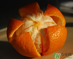 橙子里面為什么有蟲(chóng)子？橙子里面有蛆蟲(chóng)的原因