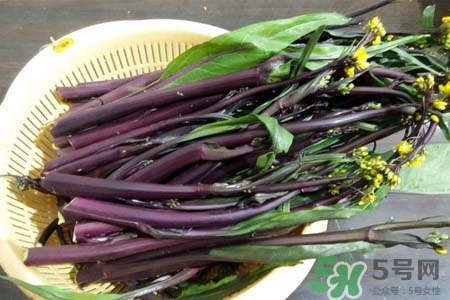 紅菜苔怎么保存？紅菜苔的存儲(chǔ)方法