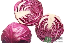 紫甘藍熱量高嗎？吃紫甘藍可以減肥嗎？