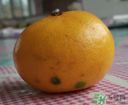 橘子皮發(fā)霉可以吃嗎？吃了發(fā)霉的橘子怎么辦？