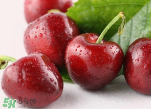 為什么吃車?yán)遄訒亲?？吃車?yán)遄永亲釉趺崔k？