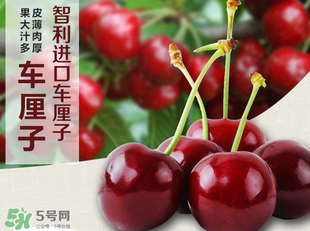 車?yán)遄恿验_能吃嗎？車?yán)遄訛槭裁磿验_？
