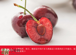 車?yán)遄幽睦锂a(chǎn)的最好？車?yán)遄赢a(chǎn)地在哪里？