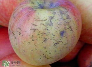 蘋果裂紋能吃嗎？蘋果裂紋是怎么回事？