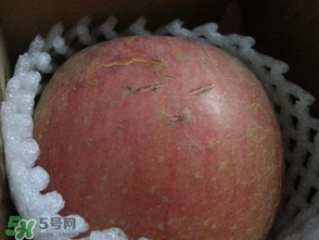蘋果裂紋能吃嗎？蘋果裂紋是怎么回事？
