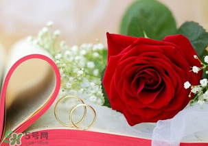 情人節(jié)送什么顏色的玫瑰花好？情人節(jié)送幾朵玫瑰花好？