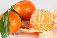 沙糖桔是熱性的嗎？沙糖桔是熱性還是涼性？