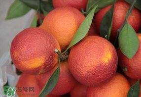 血橙多少錢一斤？四川血橙多少錢一斤？