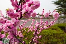 春天養(yǎng)生湯有哪些？春季養(yǎng)生喝什么湯好？