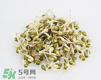 黃豆芽能做餡料嗎？黃豆芽餡包子怎么做？