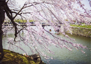春季養(yǎng)生需注意什么？春季養(yǎng)生宜分三個(gè)時(shí)間段