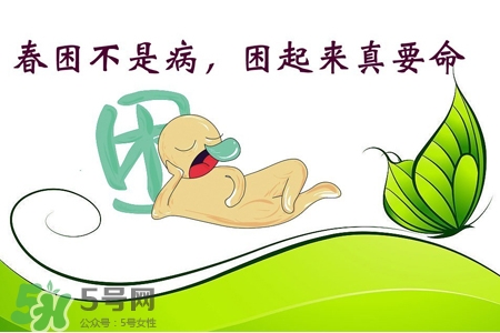 春困開車怎么辦？春天開車易犯困怎么辦？