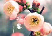 立春后種什么花？立春時(shí)開的花有哪些？