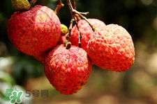 吃荔枝會(huì)過(guò)敏嗎？吃荔枝過(guò)敏怎么辦？