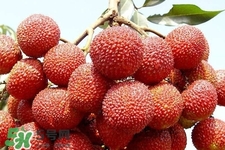 孕期吃荔枝會(huì)流產(chǎn)嗎？孕婦吃荔枝會(huì)好嗎？