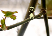 為什么春天容易生病？春天容易生什么?。?></a>
<p class=