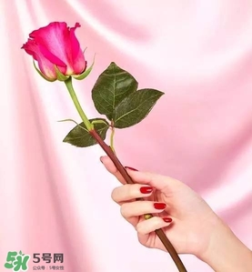 kate spade2017情人節(jié)包包多少錢？凱特絲蓓2017情人節(jié)包包哪里買？
