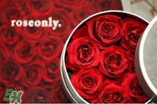 roseonly是怎么火起來的？roseonly值得買嗎？