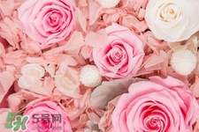 roseonly可以保存多久？roseonly能放多長(zhǎng)時(shí)間？
