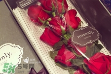 roseonly鮮花怎么保養(yǎng)？roseonly永生花怎么保養(yǎng)？