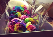 roseonly鮮花多少錢？roseonly永生花多少錢？