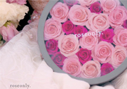 roseonly只能買一次嗎？roseonly如何送第二人？