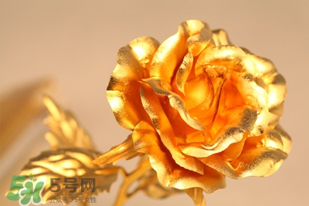 情人節(jié)可以送金玫瑰嗎？情人節(jié)送金玫瑰好嗎？