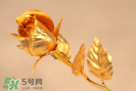 情人節(jié)可以送金玫瑰嗎？情人節(jié)送金玫瑰好嗎？