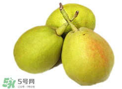 香梨多少錢(qián)一斤？香梨怎么挑選？