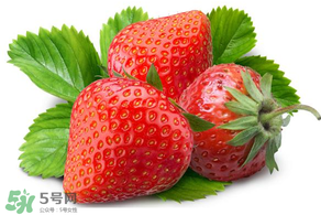 小孩多吃草莓好嗎？小孩可以摘草莓嗎？