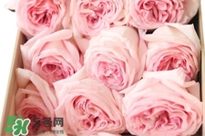 鮮花怎么養(yǎng)？鮮花怎么養(yǎng)放的比較久？
