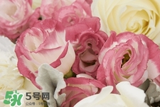 鮮花怎么養(yǎng)？鮮花怎么養(yǎng)放的比較久？