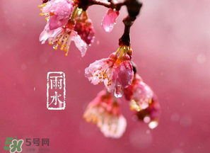 雨水吃什么？雨水節(jié)氣飲食禁忌？