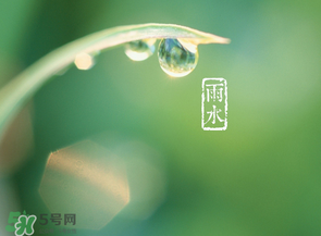 雨水吃什么？雨水節(jié)氣飲食禁忌？