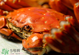 春天的螃蟹能吃嗎？開(kāi)春后大閘蟹能吃嗎？