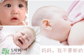 春天可以斷奶嗎？春天幾月份斷奶比較好？