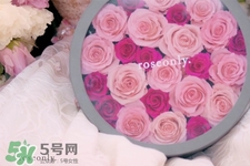 玫瑰花怎么養(yǎng)？玫瑰花怎么養(yǎng)久一點？
